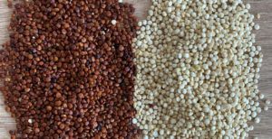 Lire la suite à propos de l’article Le quinoa, qu’il est bon !