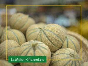 Lire la suite à propos de l’article Les melons sont arrivés !