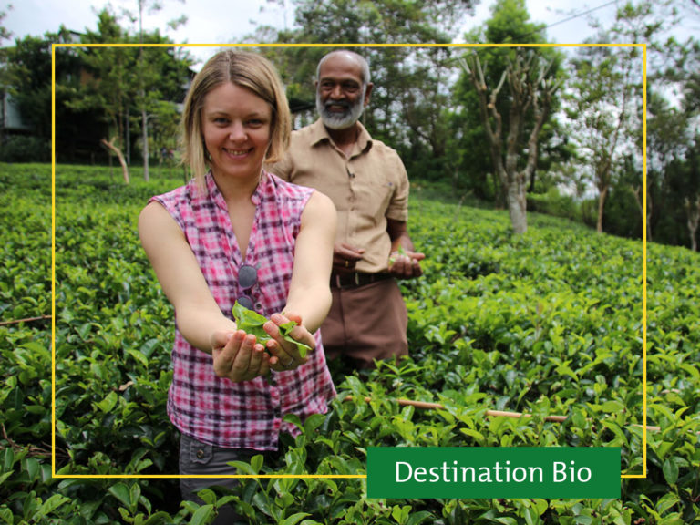 Destination Bio : café et thé bio et équitable
