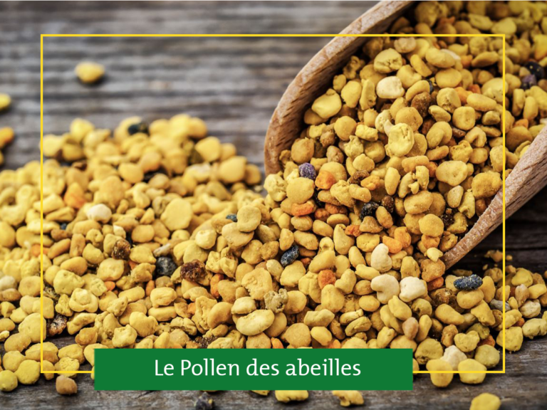 Le Pollen, un ami qui vous veut du bien !